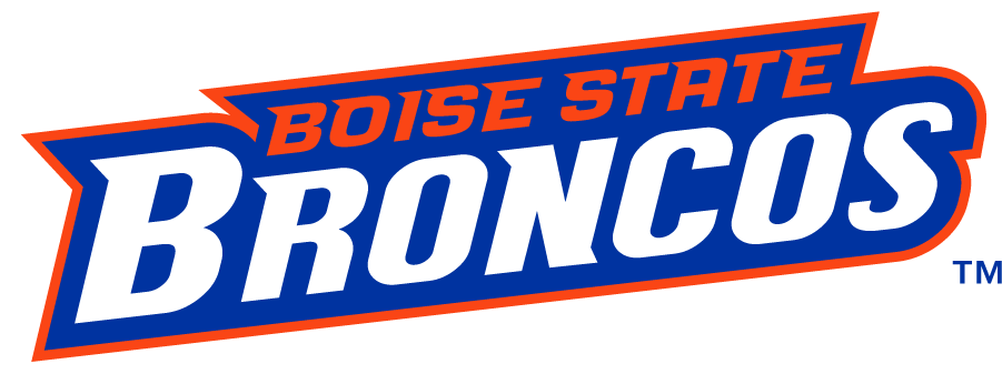 Boise State Broncos 2012-2013 Wordmark Logo v2 iron on transfers for clothing